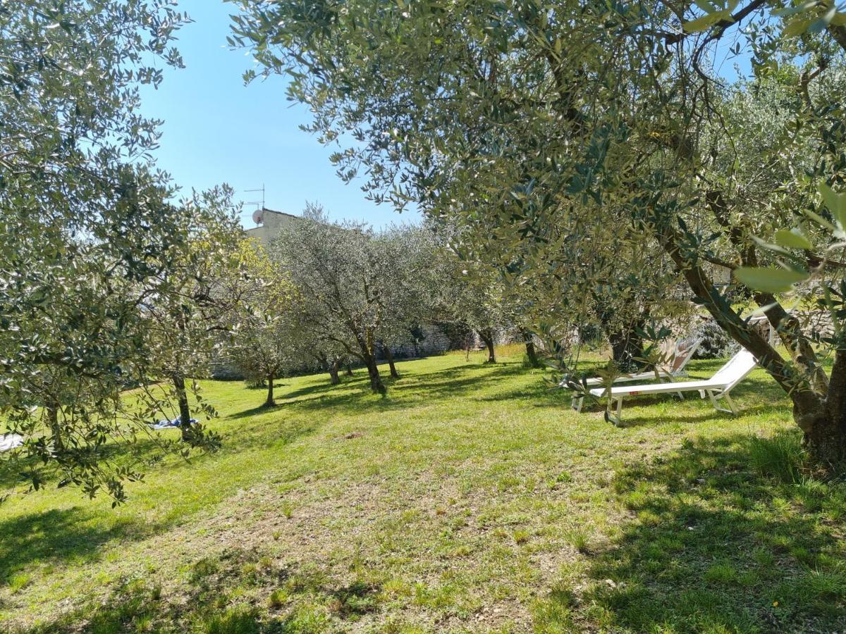 Villa Casa Dal Vecio Carli SantʼAmbrogio di Valpolicella Exterior foto